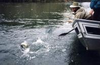 gal/Fishing 1/_thb_Theguide4.jpg